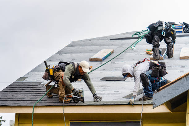Professional Storm Damage Roof Repair technician working in Brodhead, KY